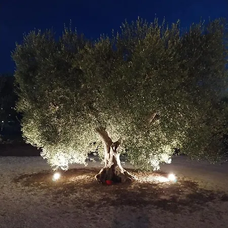 Elisa Pansiyon Alberobello